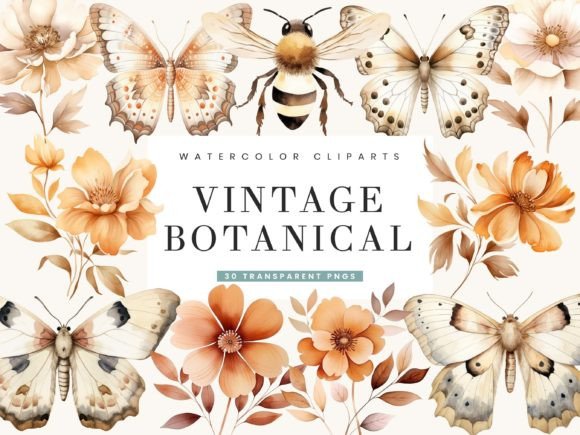 Download Watercolor Vintage Botanical Clipart - Art Collection