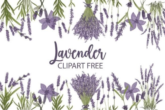Download Lavender Clipart Free - Art Collection