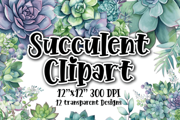 Download Succulents Clipart 10 Transparent PNGs - Art Collection