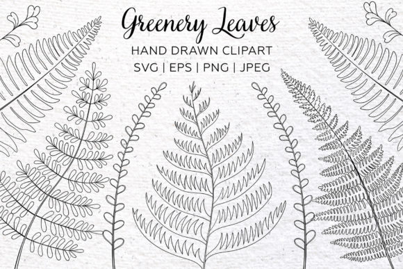 Download Greenery Clipart. Floral Leaf Design. - Art Collection