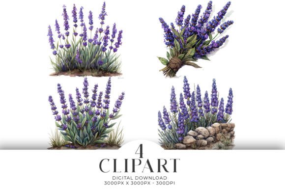 Download Lavender Clipart Watercolour PNG - Art Collection