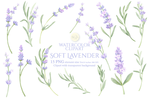 Download Watercolor Soft Lavender Clipart Set - Art Collection