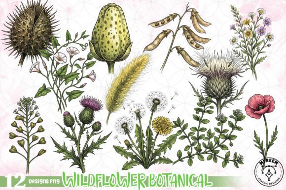 Download Wildflower Botanical Clipart PNG - Premium Resources